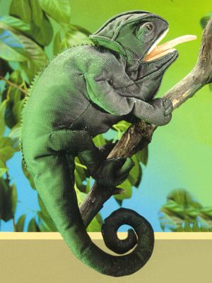 Cameleon